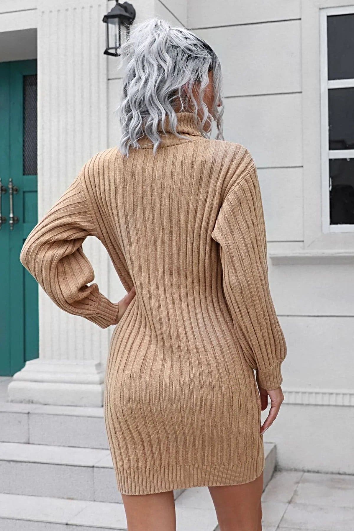 Ribbed Turtle Neck Long Sleeve Mini Sweater Dress -