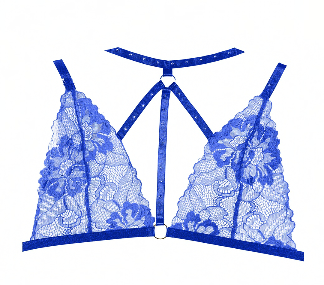 Lace Bralette and Crotchless Panty Set with Choker and Rhinestone Detailing in Blue Allure Lingerie