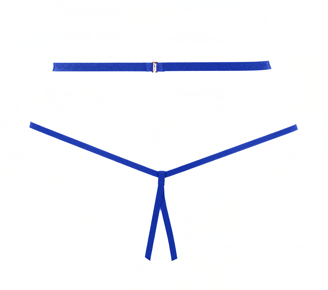 Lace Bralette and Crotchless Panty Set with Choker and Rhinestone Detailing in Blue Allure Lingerie