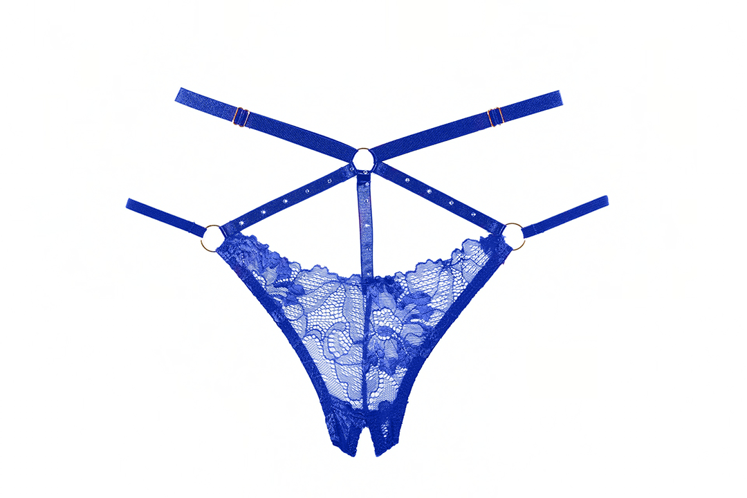 Lace Bralette and Crotchless Panty Set with Choker and Rhinestone Detailing in Blue Allure Lingerie