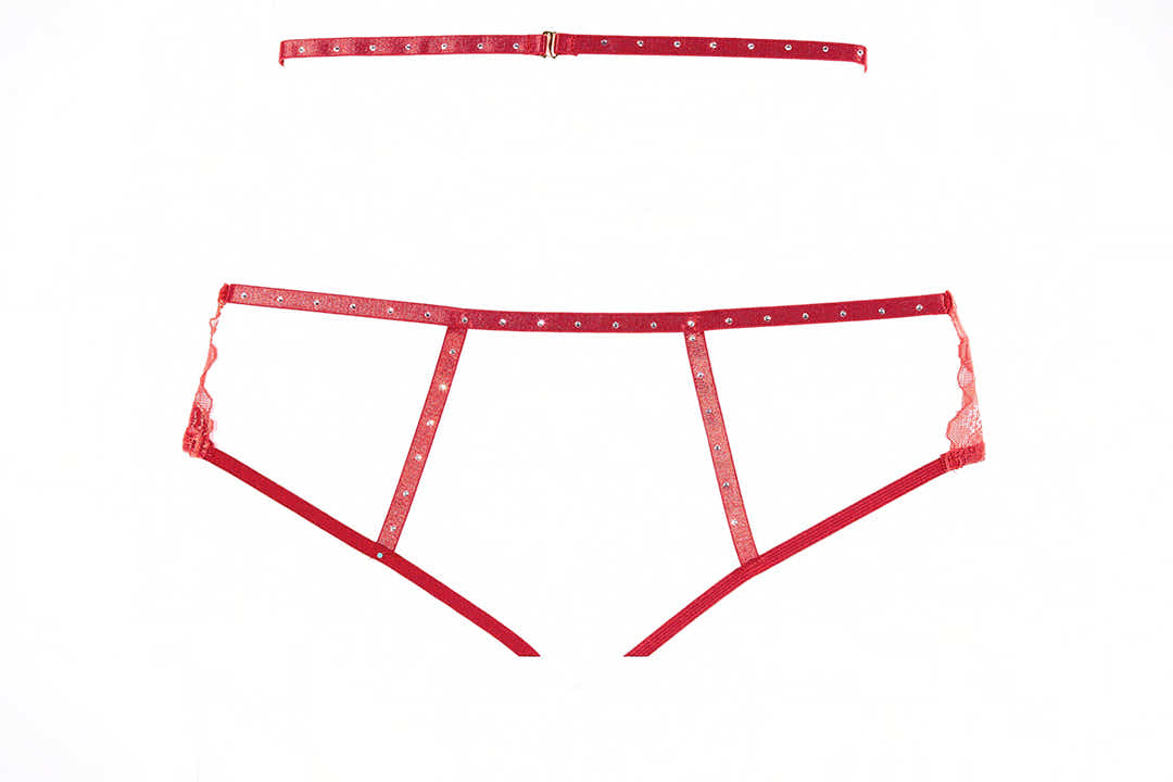Allure 2-8602B Charlotte Crotchless Garter Panty in Red with Rhinestone Accents Allure Lingerie
