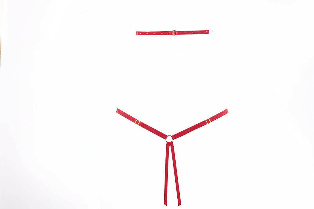 Lilly Teddy, won`t keep you warm but will make everyone hot in Red - Teddy