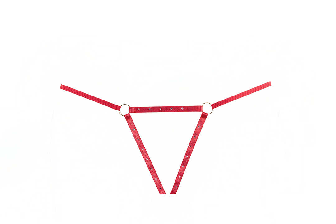 Seductive Red Garter and Panty Set with Rhinestone Straps - Allure Ashley Collection Allure Lingerie