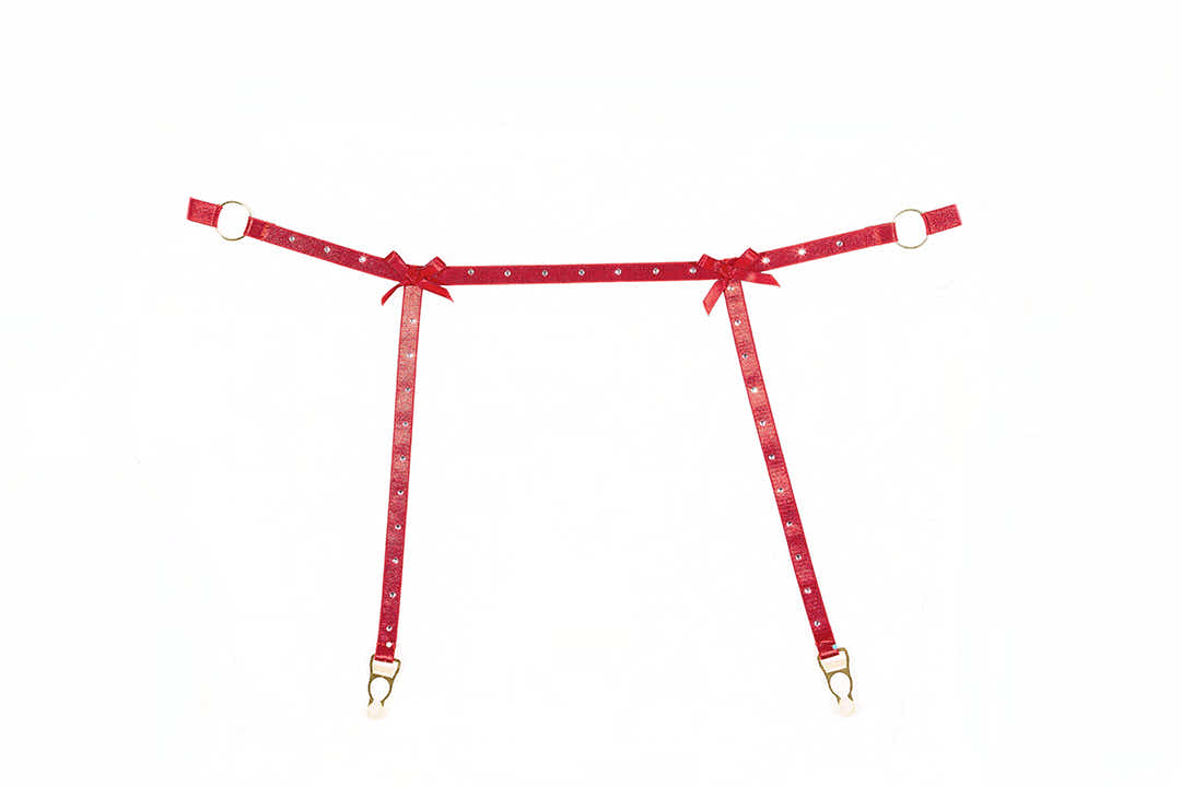 Seductive Red Garter and Panty Set with Rhinestone Straps - Allure Ashley Collection Allure Lingerie