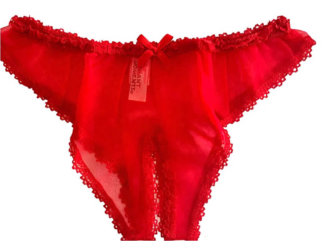 Elegant Moments IS-4010 Adorable Crotchless sheer chiffon Panty - panty