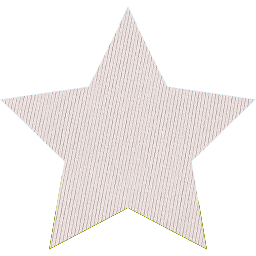 Candyland  Crystal Diamond 2 PC Bra and panty Set