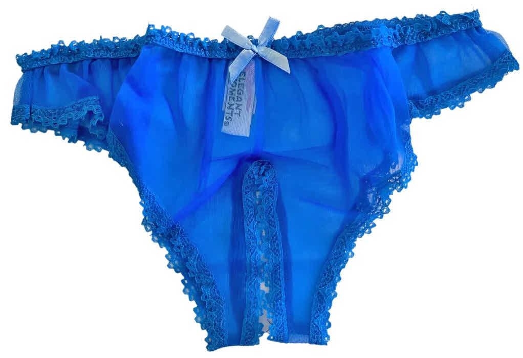 Elegant Moments IS-4010 Adorable Crotchless sheer chiffon Panty - panty